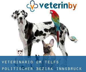 veterinário em Telfs (Politischer Bezirk Innsbruck, Tyrol)
