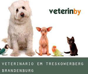 veterinário em Treskowerberg (Brandenburg)