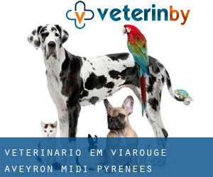 veterinário em Viarougé (Aveyron, Midi-Pyrénées)