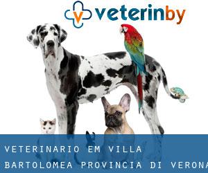 veterinário em Villa Bartolomea (Provincia di Verona, Veneto)