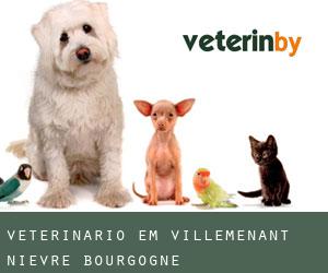 veterinário em Villemenant (Nièvre, Bourgogne)
