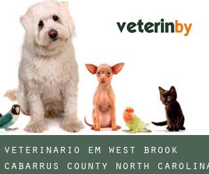 veterinário em West Brook (Cabarrus County, North Carolina)