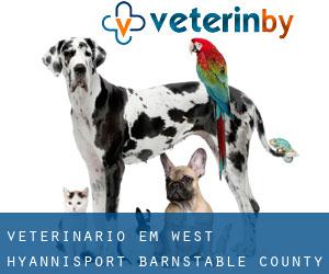 veterinário em West Hyannisport (Barnstable County, Massachusetts)