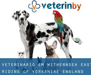 veterinário em Withernsea (East Riding of Yorkshire, England)
