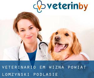veterinário em Wizna (Powiat łomżyński, Podlasie)