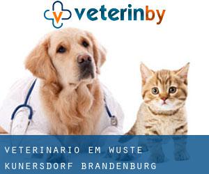 veterinário em Wüste Kunersdorf (Brandenburg)