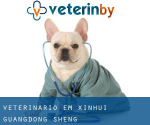 veterinário em Xinhui (Guangdong Sheng)