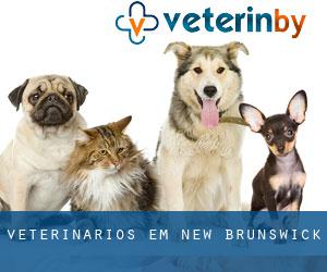 veterinários em New Brunswick