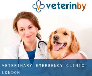 Veterinary Emergency Clinic (London)